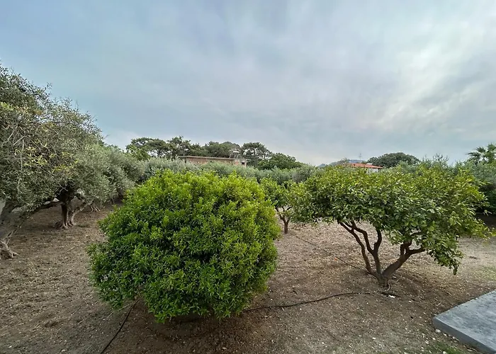 Lina'S Amazing House In Ialysos