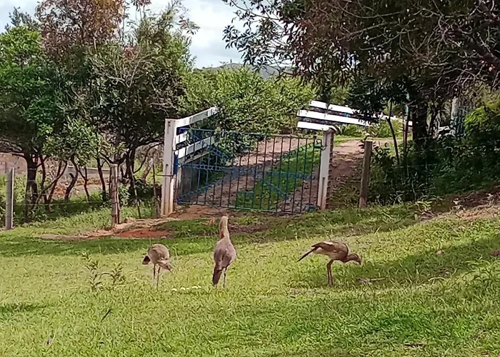 Chalés do Apolinário