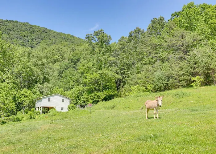 Weaverville Escape: Epic Mtn Views!