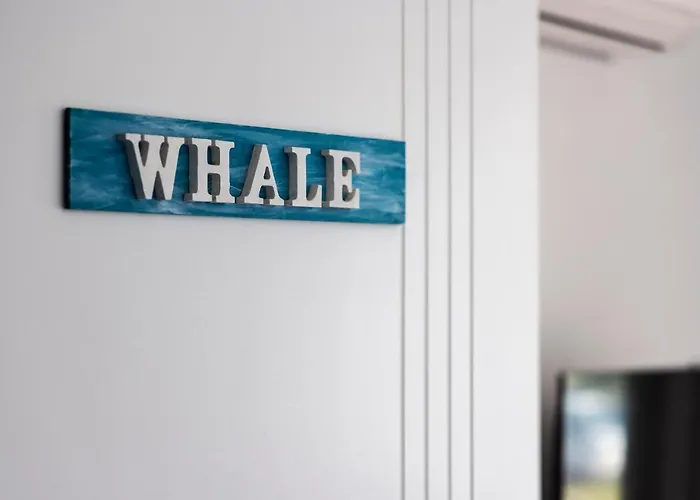 Whale Studio Suite