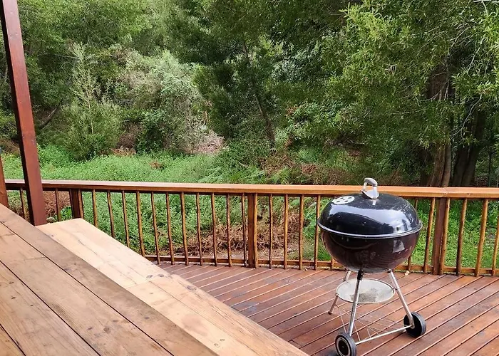 Knysna Holiday Armadillo