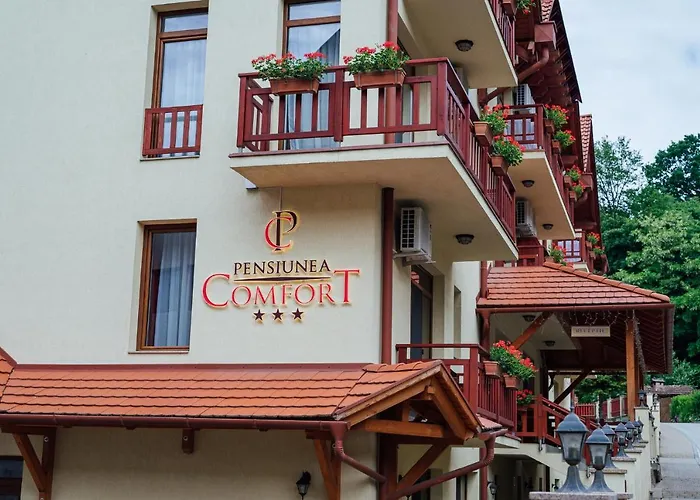 Pensiunea Comfort