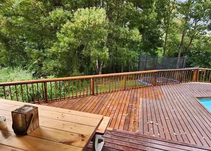 Knysna Holiday Armadillo