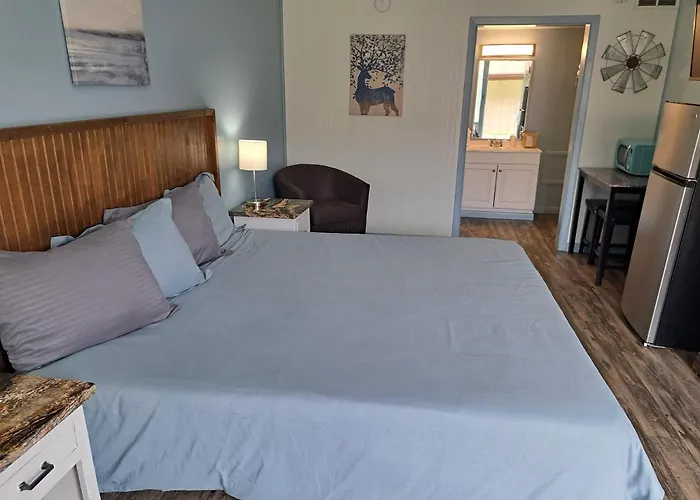 Blue Sky Inn: Pet-Friendly Oasis with Renovated Rooms