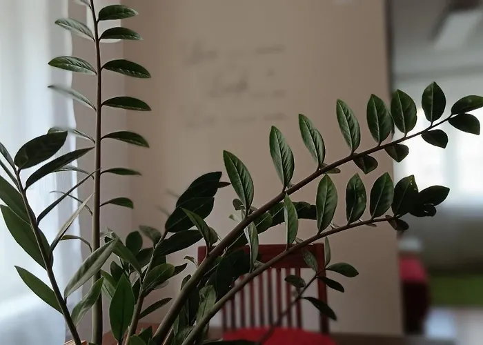 Moderne Und Schoene Wohnung