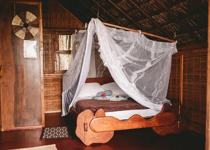 Art Jungle Eco Lodge