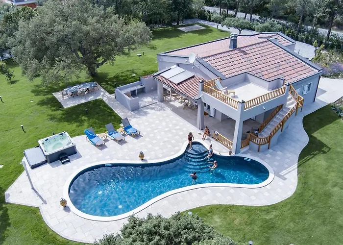 Golden Root San Teodoro