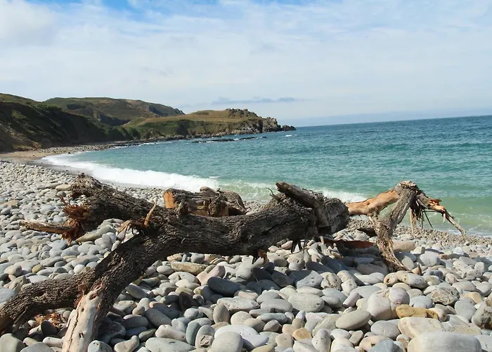 Sur Le Chemin De La Plage