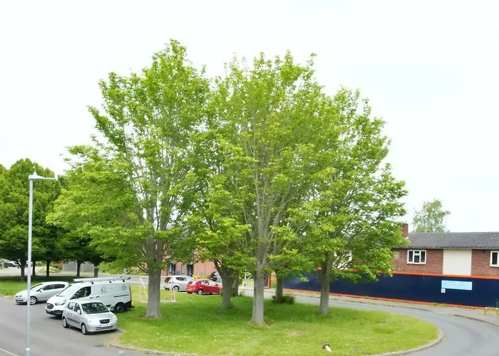 Tree View Apartment