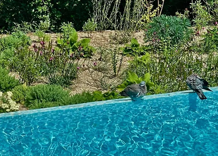 Azur Blue Villa; Rural Peace With Private Pool