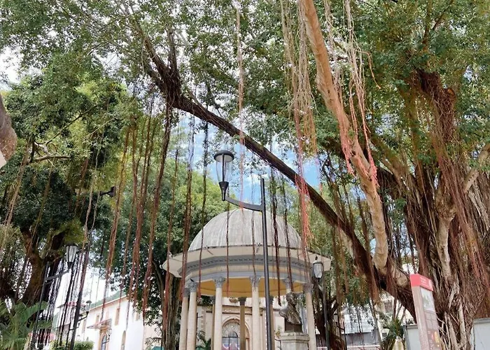 Maison Boheme - La Manzana Panama