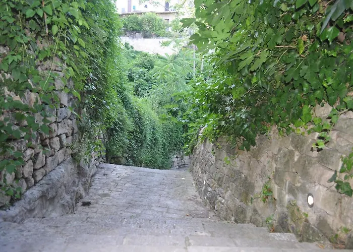 Udammusu34