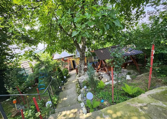 Casa Rool