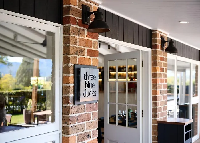 The Lodge Bellingen