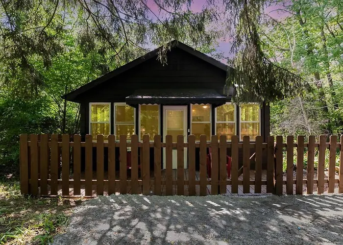 Black Cabin Getaway In Woods I Valpo