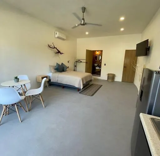 Ocean Studio