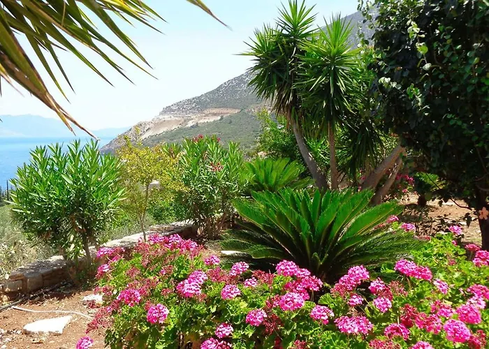 Luxury Villa With Pool Overlooking A Majestic View