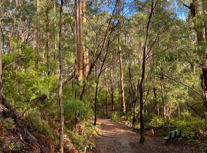 Karri Tree Studio Apartment