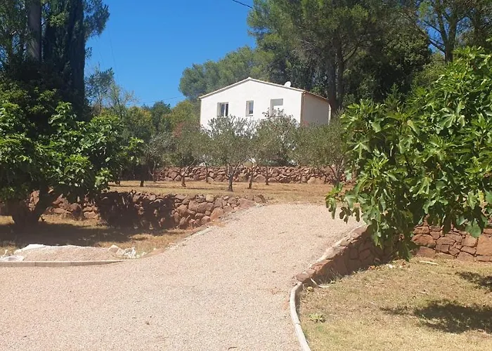 Bastidon Du Camp De Jeanne