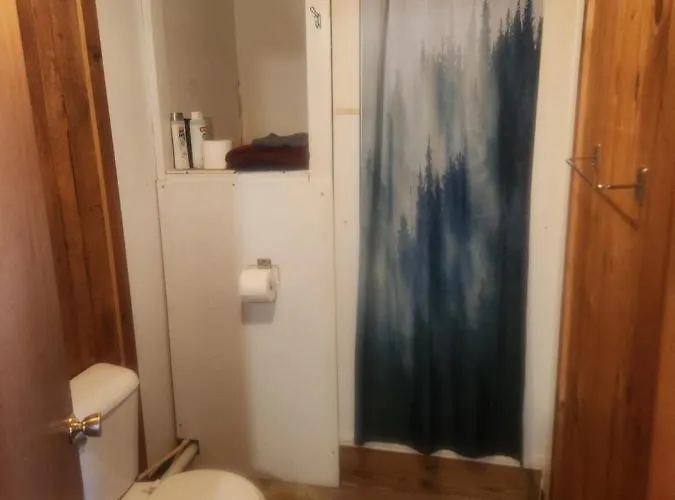 Cabin 2