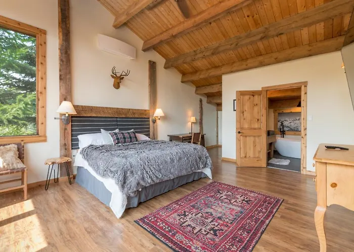 Bear Lodge With Private Pool, Hottub, And Sauna!