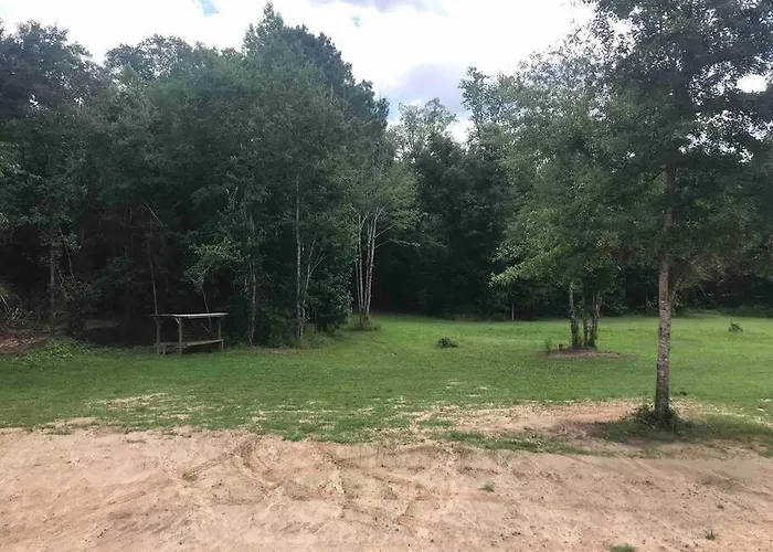 Tiny Home With Hammock Loft Bbq And Yard