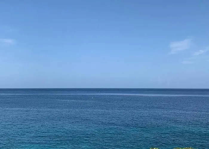 Irie Vibes Ocean View