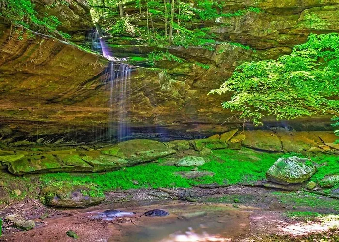 Mammoth Cave Cabin Rentals 7