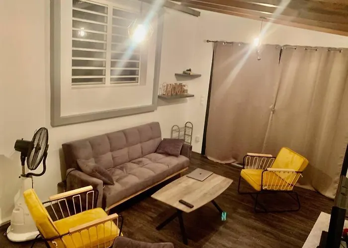 Appartement Renove Avec Bac A Punch Chauffe