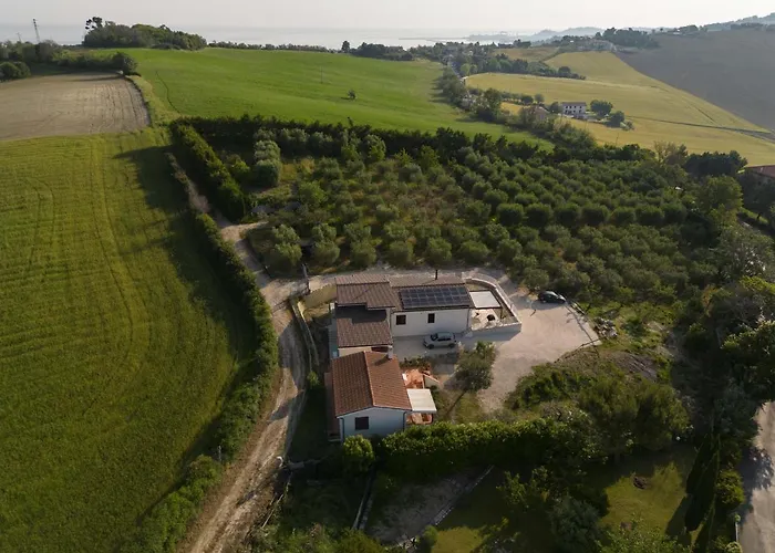 Casetta Tra Gli Ulivi