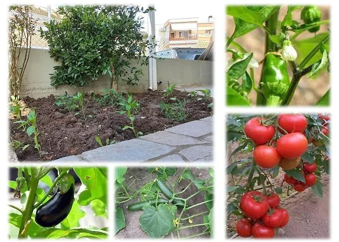 Gaia Cottage With Garden