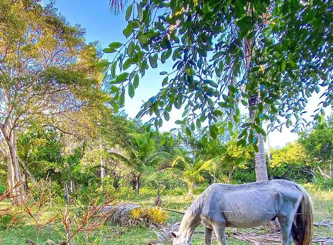 Canto do Moreira Corumbau