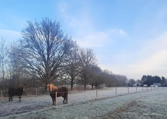 Gastenverblijf de Vense Weide