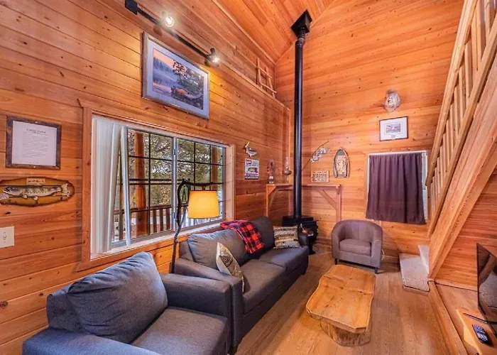 Cabin #5 Black Bear - Pet Friendly - Sleeps 6 - Playground & Game Room