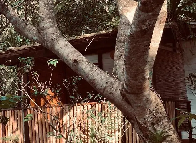 Quinta do Cajú