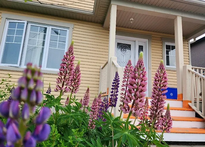 Maison Chaleureuse, Energetique Et Florale