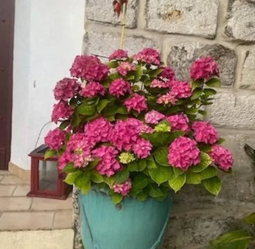 Charmant Appart Avec Jardin