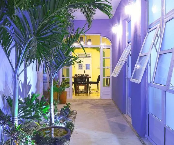 Casa Violeta