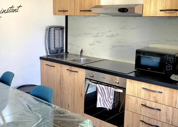 Wifi Clim Garage Jardin Bbq Cosy House