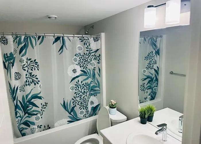 1 Bedroom Modern Basement Suite With Private Entrance