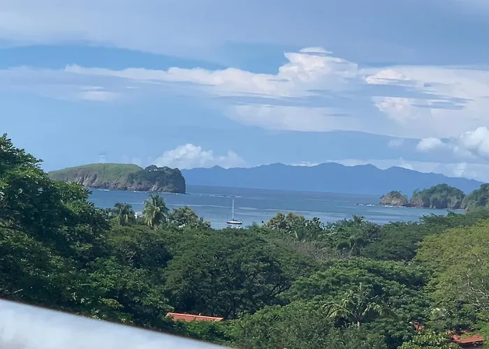 Buena Vista Coco