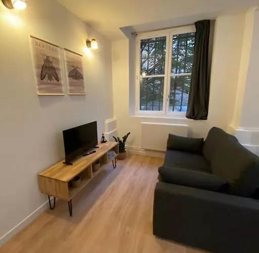 Cozy 1Br In Lyon Center