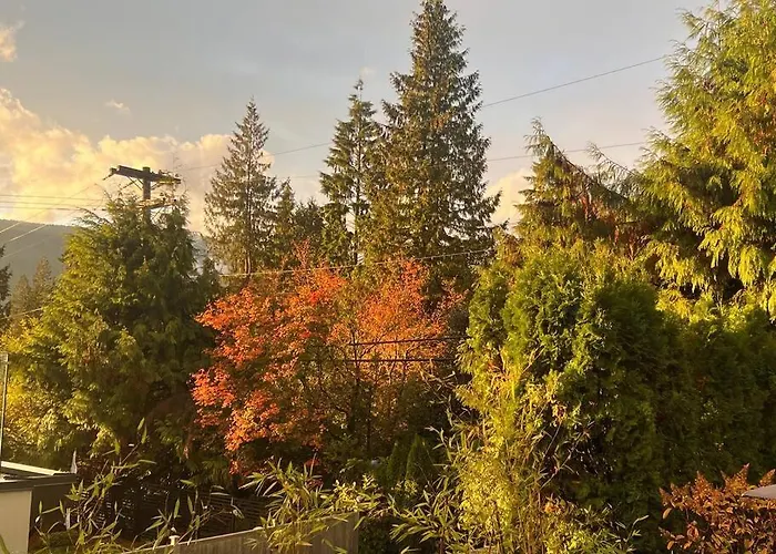 'Canyon Heights' Retreat