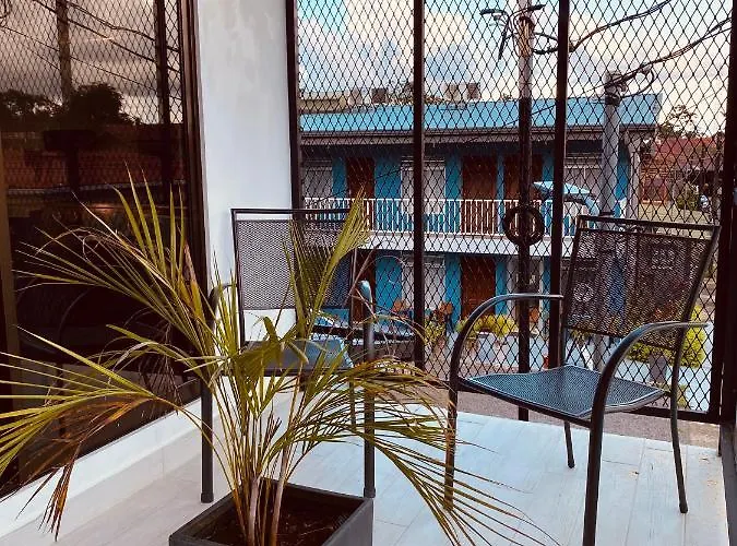 Casa Macaw