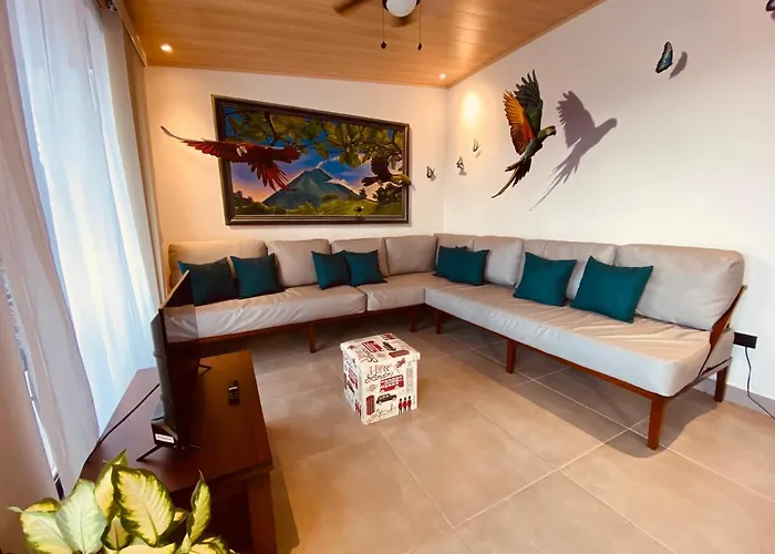 Casa Macaw