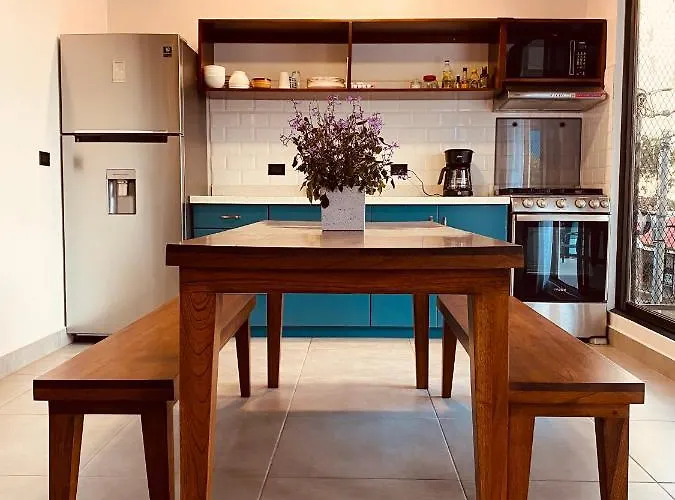 Casa Macaw