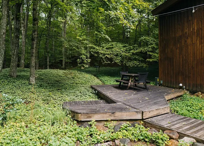 Finnwood - A Pet Friendly Woodland Retreat