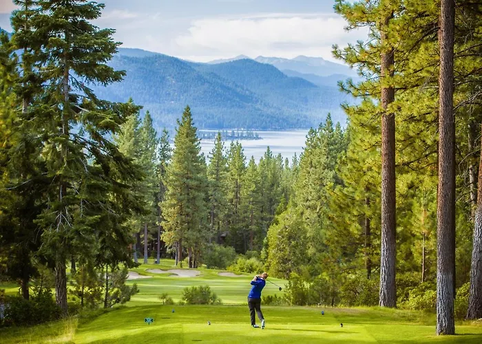 The Perfect Forest Pines Getaway