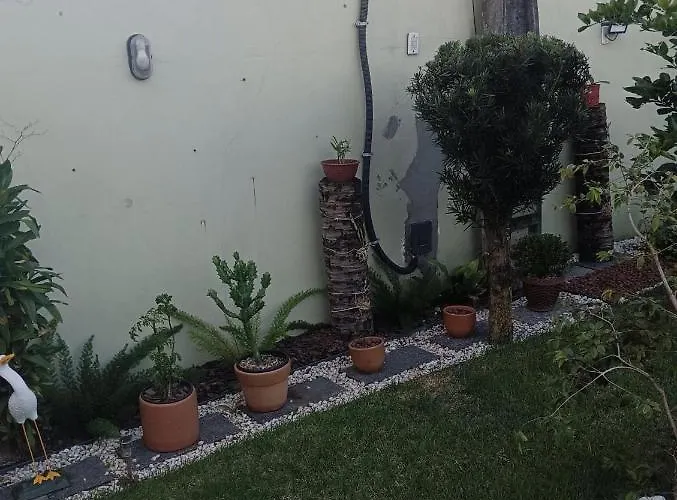 Jardim Das Orquideas 1