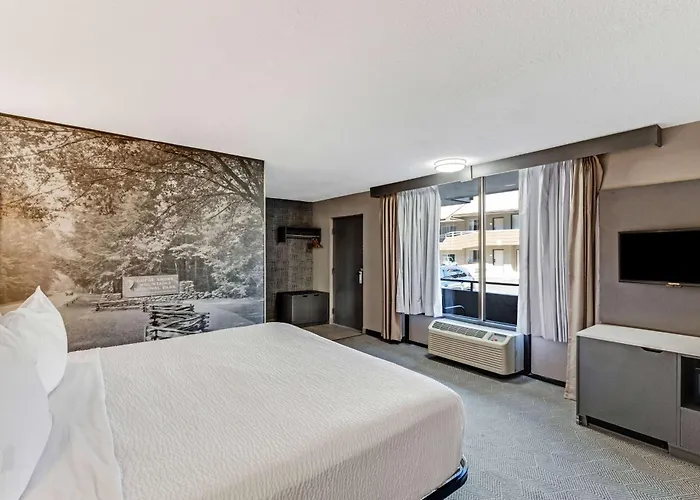 The Wander Hotel By Wyndham